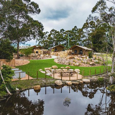 Glamping 148 Tasmania Otel St Helens Dış mekan fotoğraf