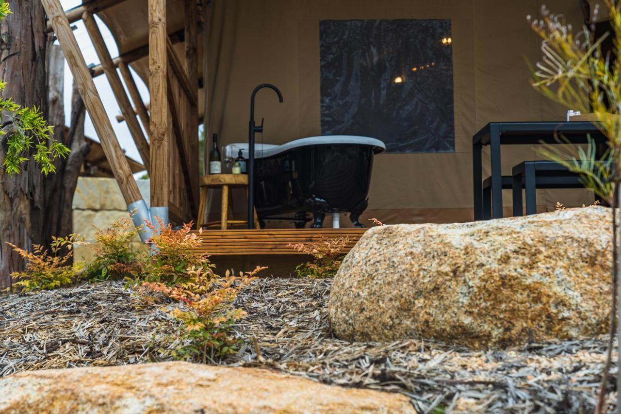 Glamping 148 Tasmania Otel St Helens Dış mekan fotoğraf